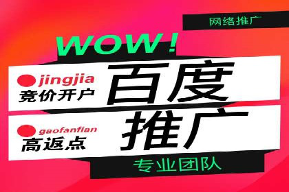 百度推广开户流程解析：实战案例解读
