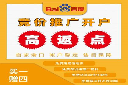 某公司信息流广告的精准投放与效果评估